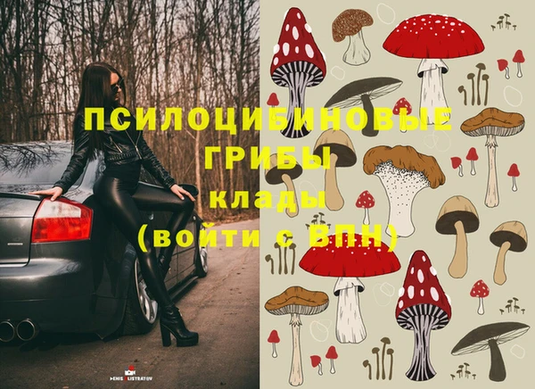 эйфоретик Заволжск