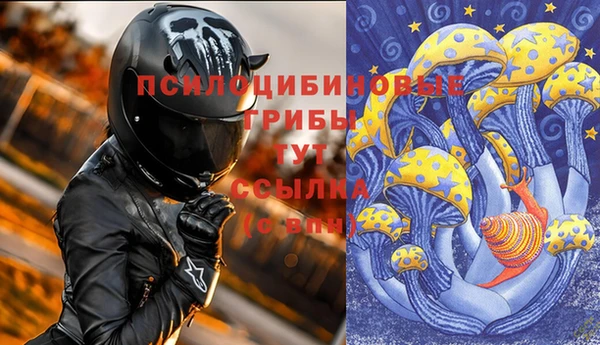 мяу мяу мука Заводоуковск