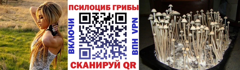 Псилоцибиновые грибы Cubensis Инта